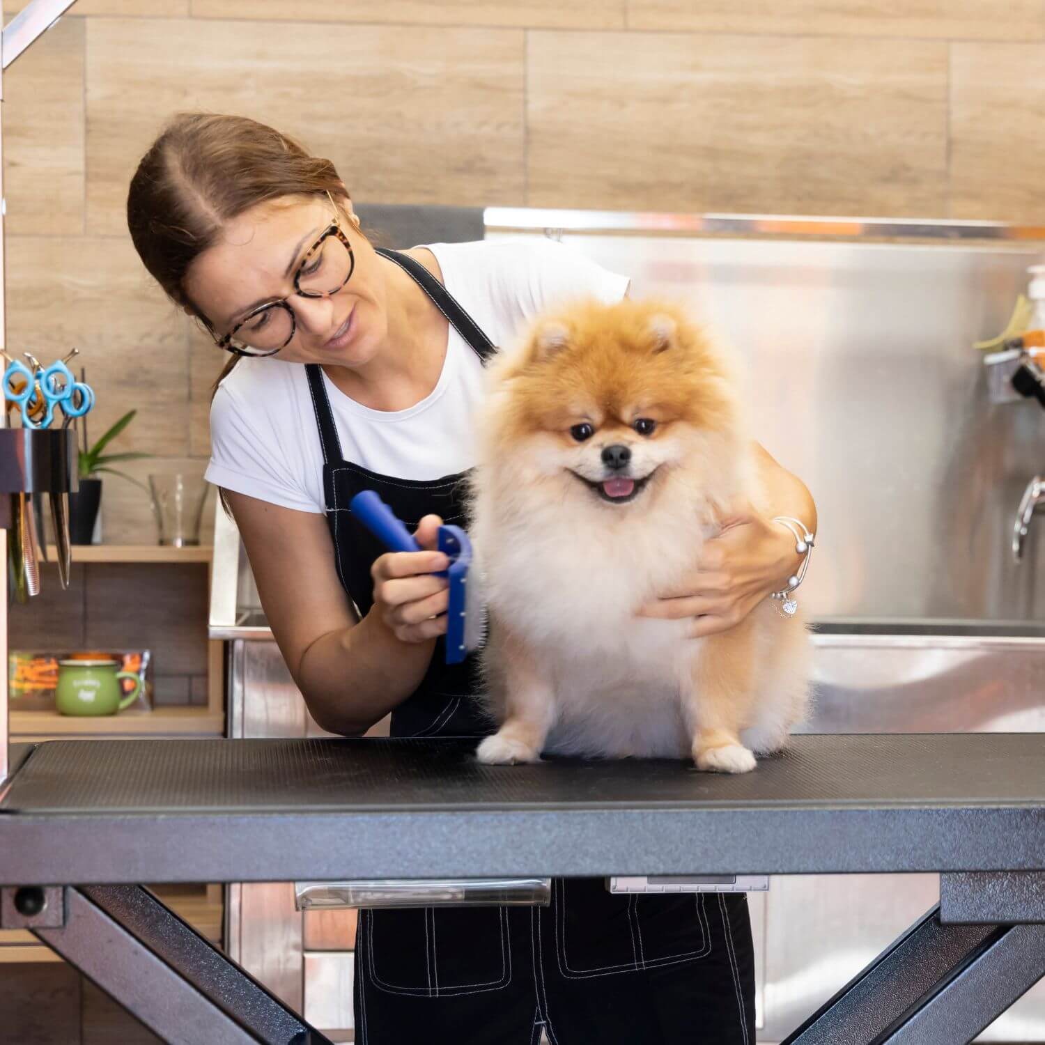 Pet groomer with a dog